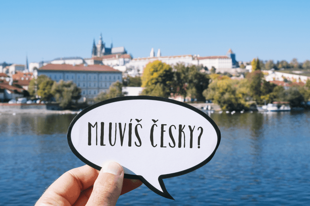 Ilustracja artykułu: Zwroty grzecznościowe w czeskim – poznaj je